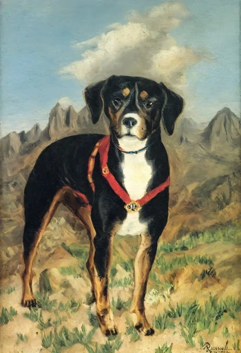 Pet portraits